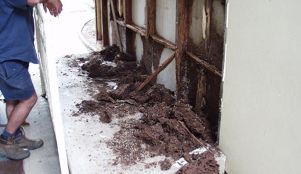 POD's Pest Control - Garbutt, QLD