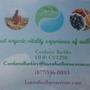 Lightfoot Organic Vitality Experience of Wellness Center