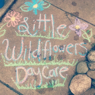 Little Wildflowers Daycare - Rose Creek, MN