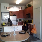 Dwell Luxury Apartment