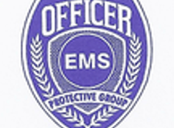 EMS PROTECTIVE GROUP LLC