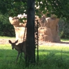 Stage Nature Center gallery