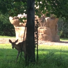 Stage Nature Center