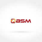 BSM-A Los Angeles SEO Company