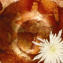 Bali Therapeutic Massage - Massage Therapists
