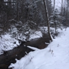 Brule River Canoe Rental gallery