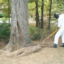 Lineberger's Tree Services Inc - Stump Removal & Grinding