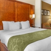Comfort Suites Locations Hours Near Chestertown Md Yp Com