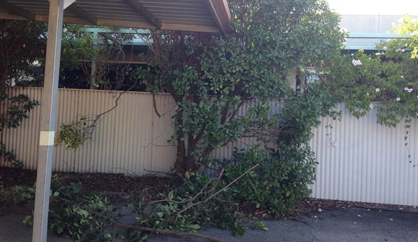 Albury Wodonga Tree & Stump Removal - Staghorn Flat, VIC