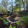 Fresh Cut Landscaping gallery