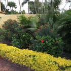 Bove Turf & Landscape Inc