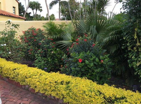 Bove Turf & Landscape Inc - West Palm Beach, FL