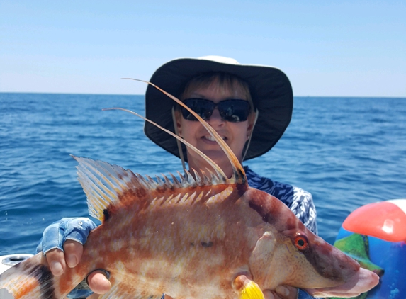 The Fisher Man - Deland, FL. 17" hog  fish caught in the gulf of Mexico, in 60' of water