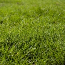 A and S Property Maintenance - Lawn Maintenance