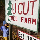 Beaverton Holiday Ucut Christmas Tree Farm