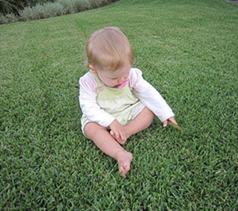 U-Bute Turf Farm - Kelso, QLD