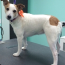 The Upscale Tail Pet Grooming Salon - Pet Grooming