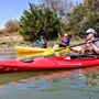 Glass Bottom Kayak Tours