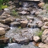 FLOW Landscape & Aquatics gallery