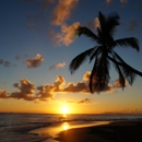 Lisa's Travel Consulting - Travel Agencies