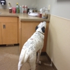 Elmbrook Veterinary Clinic gallery