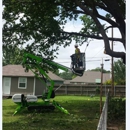 All Year Round - Tree Service