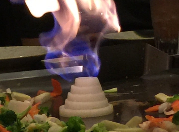 Wasabi Japanese Steak House and Sushi Bar - Plant City, FL