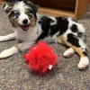 Canyon Creek Pet Hospital gallery