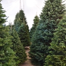 Valley View Christmas Trees - Christmas Trees