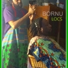 Bornu Locs gallery