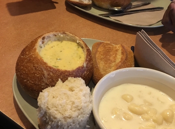 Panera Bread - San Marcos, CA