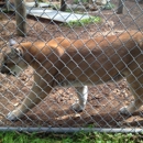 Busch Wildlife Sanctuary - Wildlife Refuge