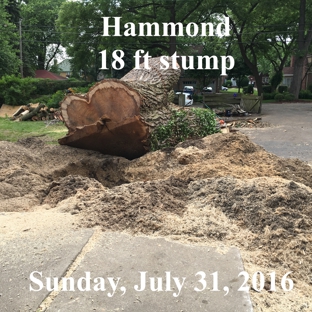 Tom's Stump Grinding - Chesterton, IN