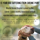 Mayfair Animal Hospital-Grooming