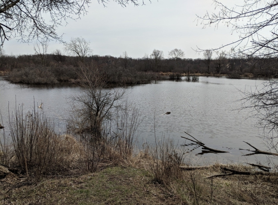 Lillie Park - Ann Arbor, MI