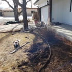 Caneywell Trees and Landscaping