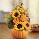 All Occasions Florist - Flowers, Plants & Trees-Silk, Dried, Etc.-Retail