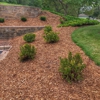 Spring Gardens Landscaping & Horticultural Services, Inc. gallery