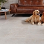 Denver Carpet & Flooring