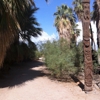 Coachella Valley National Wildlife gallery