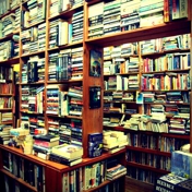 Gallery Image Number 3