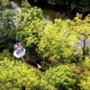 Canaan Zipline Canopy Tour gallery