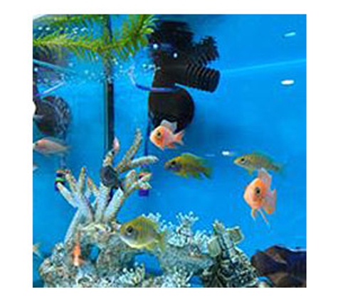 Boylans Garden & Pet Supplies - Bundaberg Central, QLD