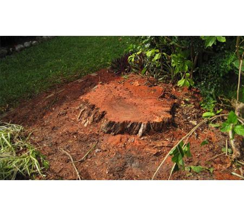 ACT Tree Felling