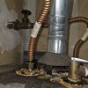 Mold Inspection Service gallery
