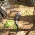 Tallahassee Museum of History and Natural Science