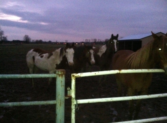 Room to Run Stables - Canal Winchester, OH