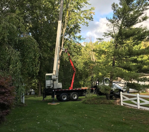 Ajax Tree Service, L.L.C. - Avon, OH