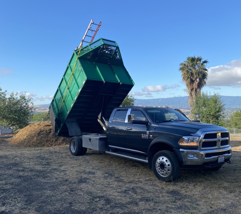 Jose Marin Tree Service - San Jose, CA