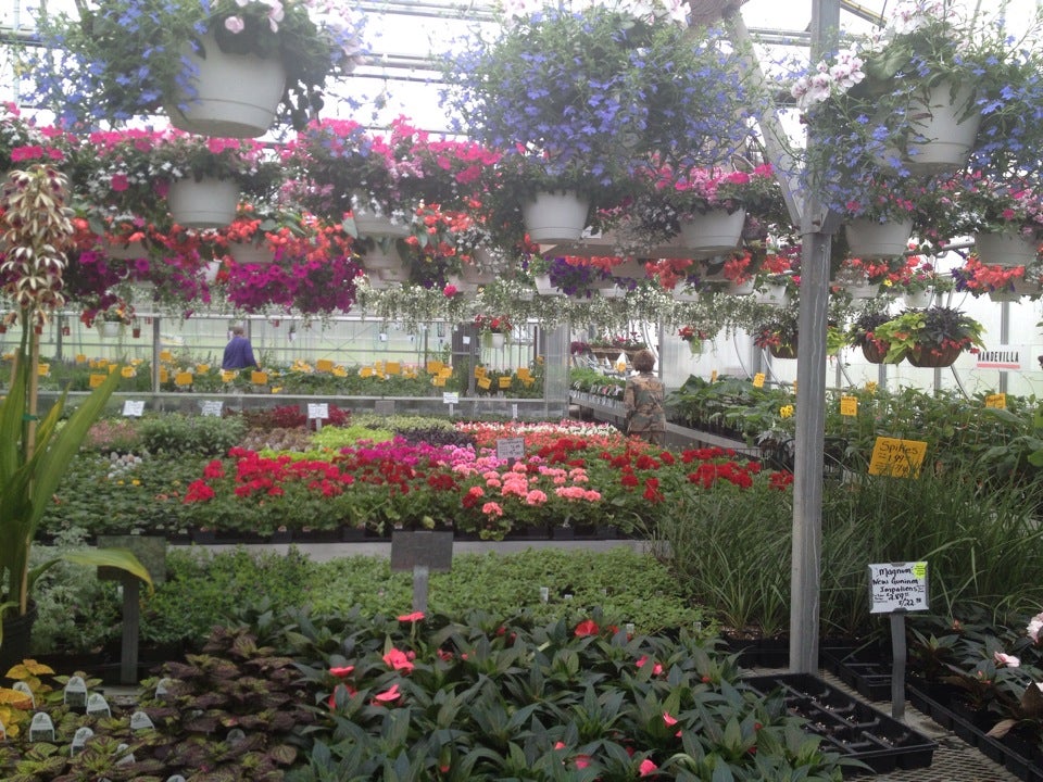 Briar Rose Greenhouses - East Earl, Pa 17519